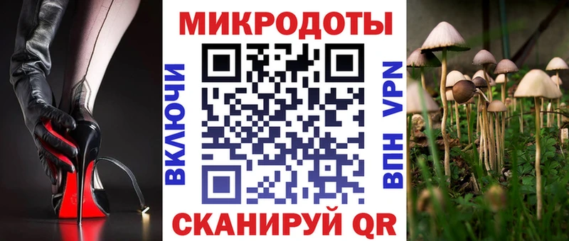 Галлюциногенные грибы мухоморы  где продают наркотики  Далматово 